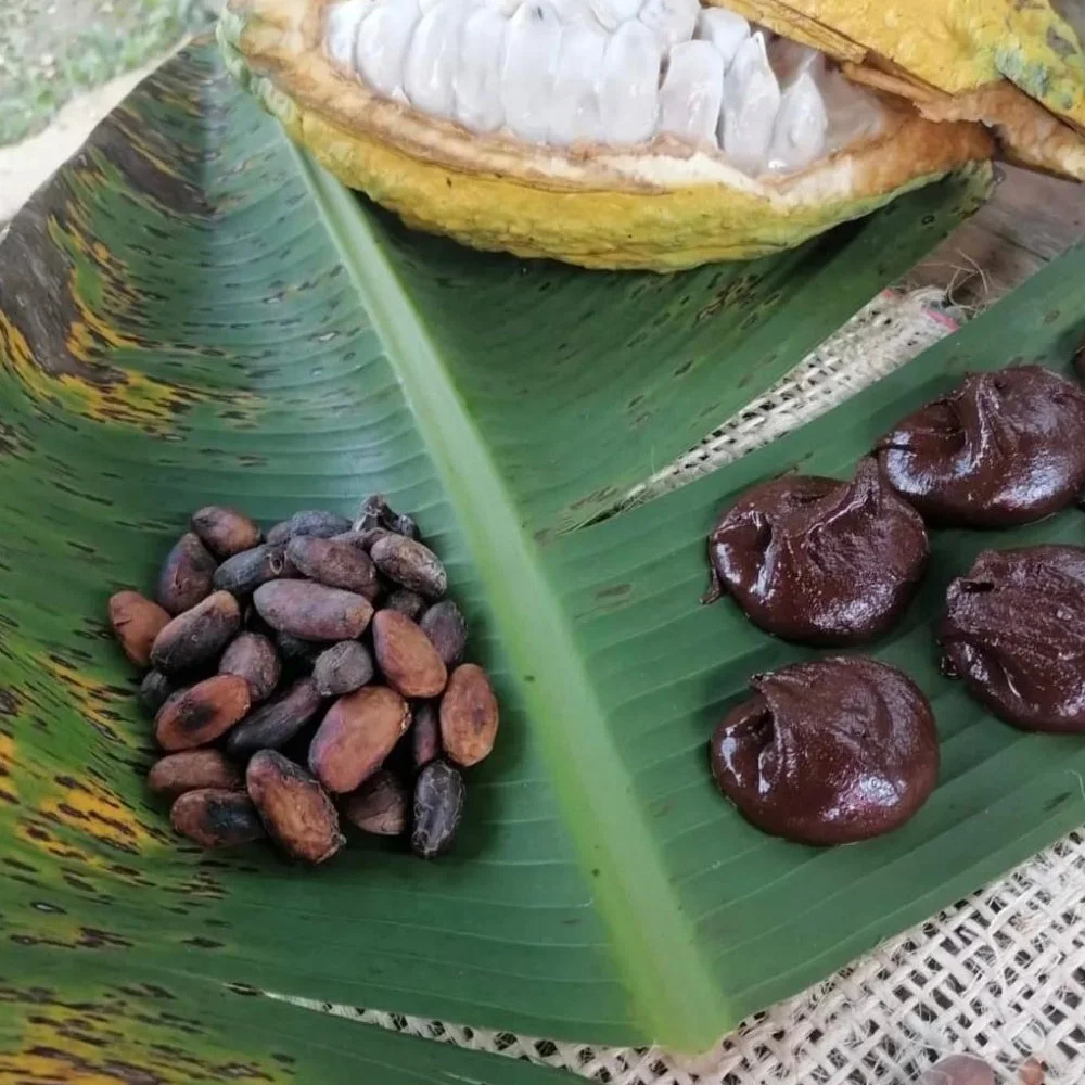 Kakao Çekirdeği Nibi 250gr görsel 2