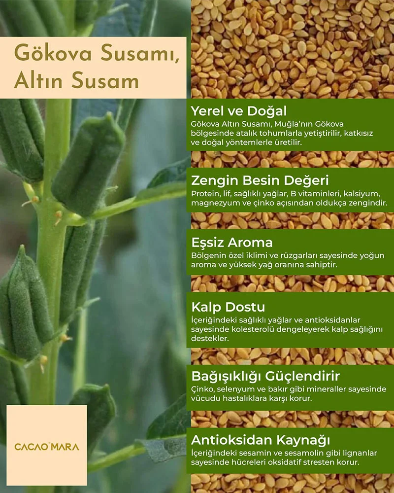Kavrulmuş Altın Susam 250gr görsel 3